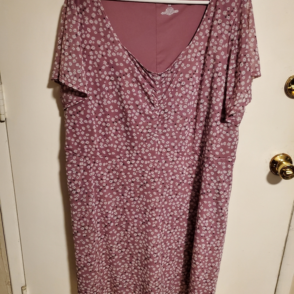 Evri Dress 3X